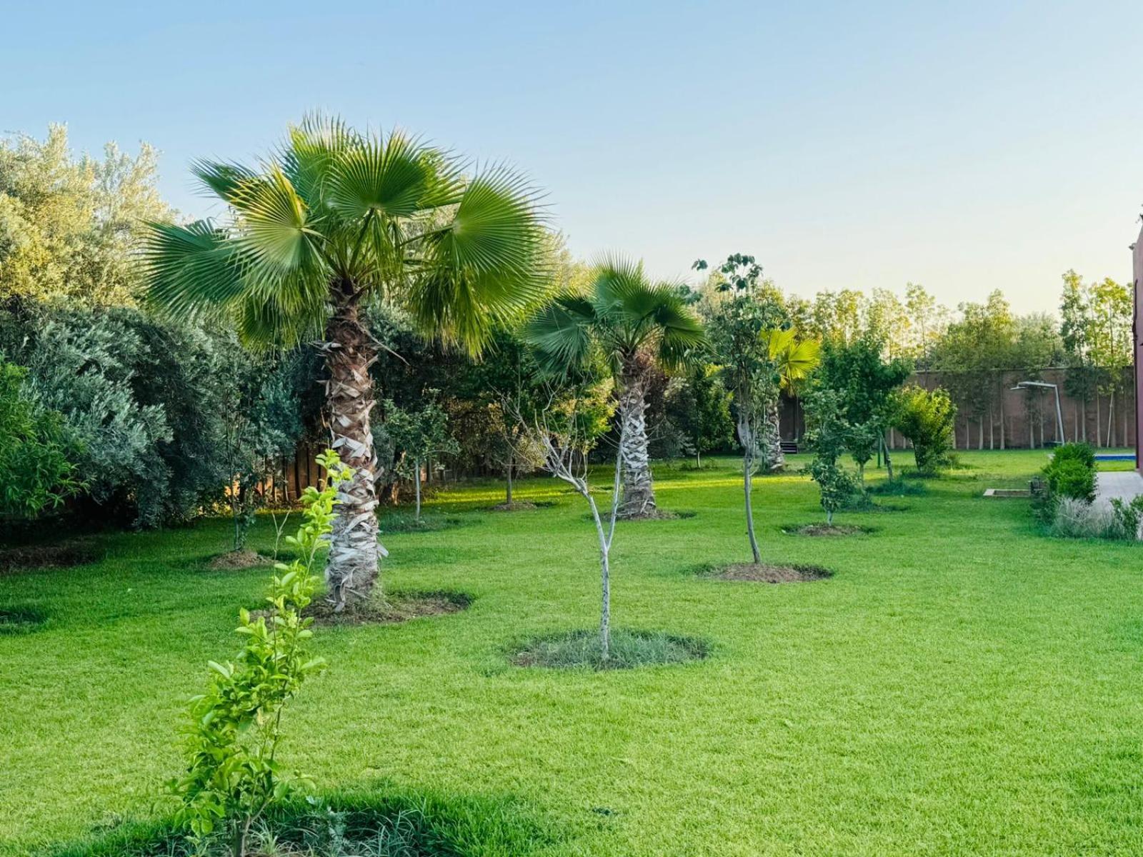 Villa Salah Marrakesh Extérieur photo
