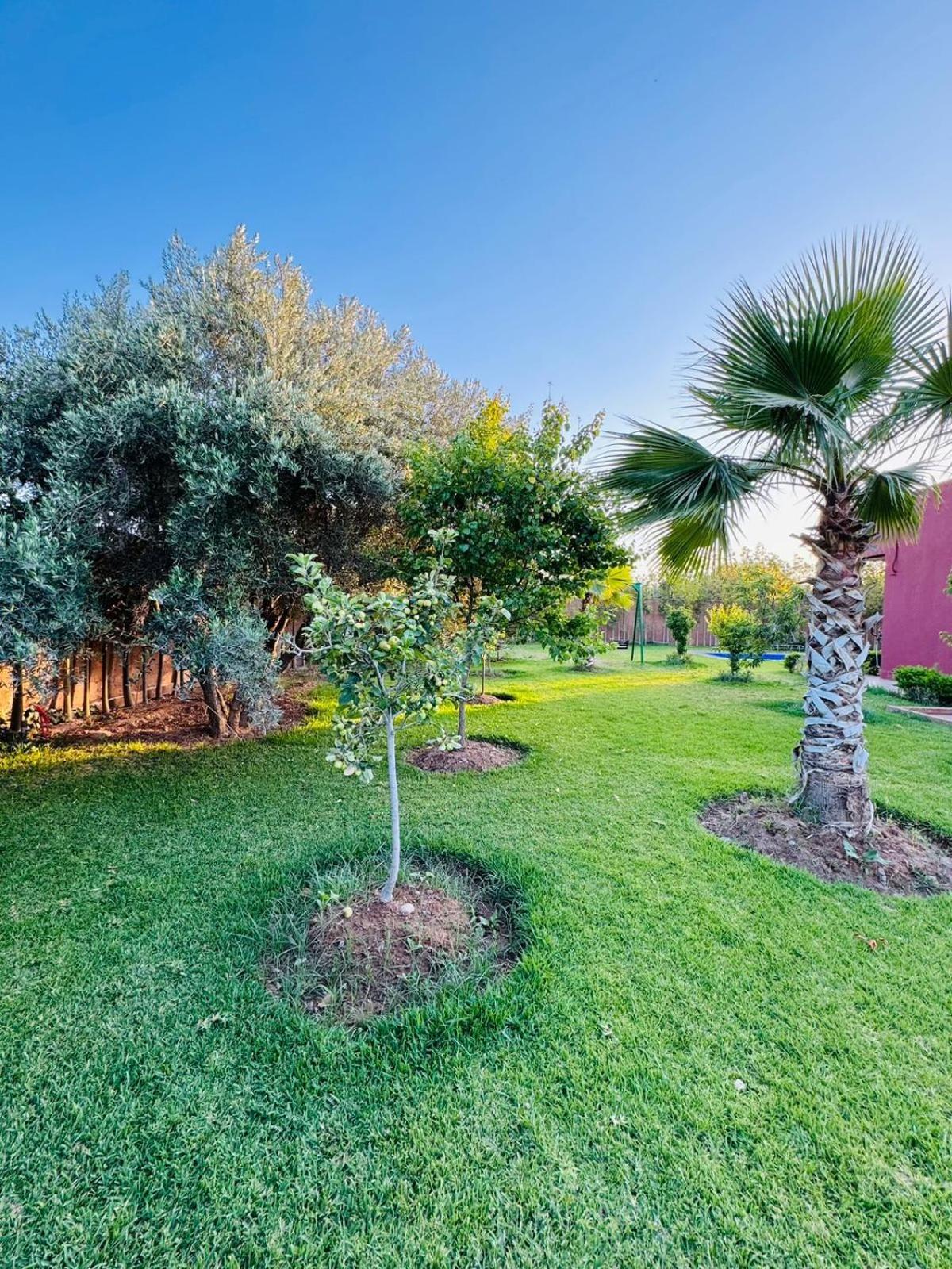 Villa Salah Marrakesh Extérieur photo